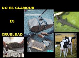 crueldad animal (criadero de yacares)